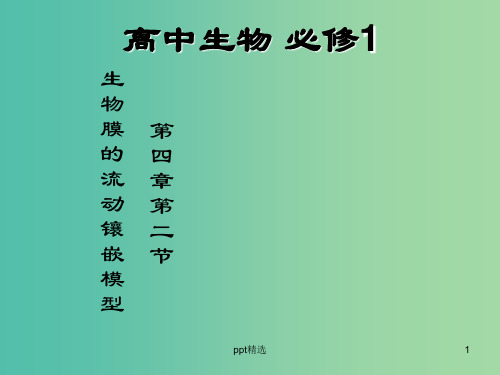 高中生物 第四章 第二节 生物膜的流动镶嵌模型课件 新人教版必修1