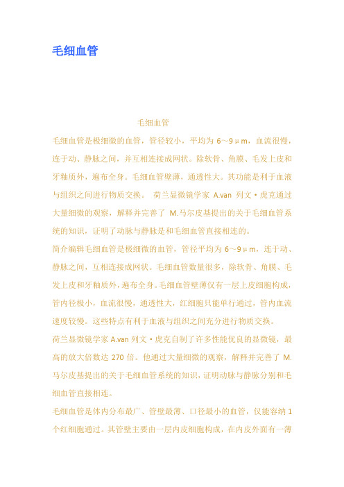 毛细血管