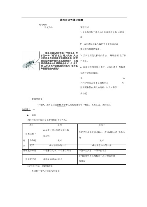 人教版必修二2..2基因在染色体上学案