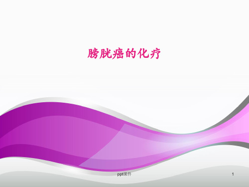 膀胱癌的化疗  ppt课件