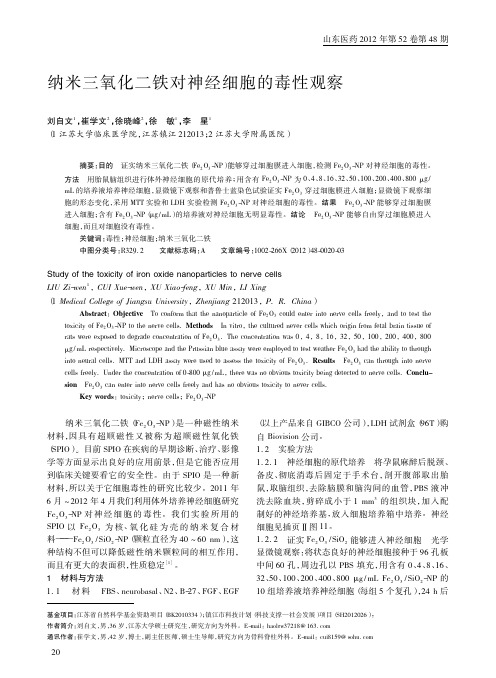 纳米三氧化二铁对神经细胞的毒性观察刘自文