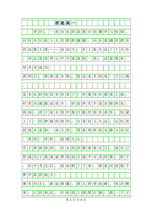 2019年消逝高一作文