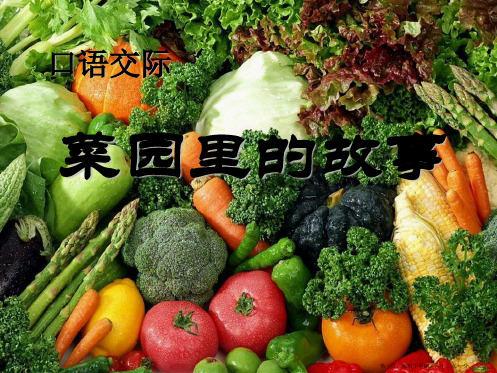 2022春湘教版语文一下《菜园里的故事》ppt课件