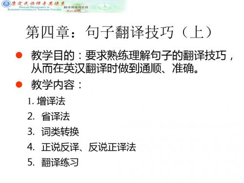 第四章句子翻译的技巧-PPT精品文档