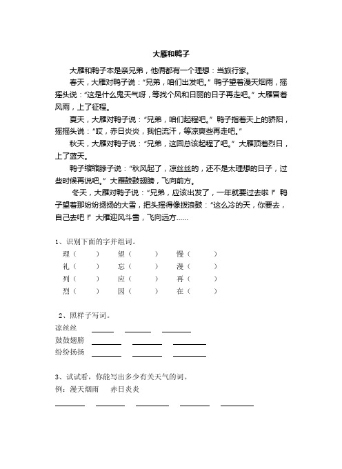大雁和鸭子