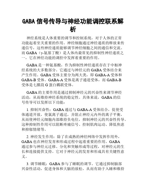 GABA信号传导与神经功能调控联系解析