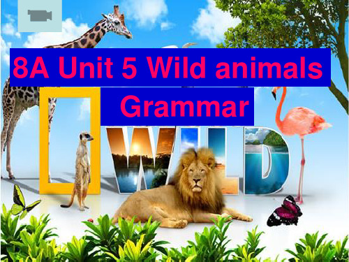 牛津译林八年级上册Unit5 Grammar  (共28张PPT)