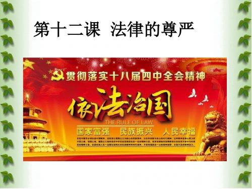 教科版九年级全册思想品德课件-12.1 依法治国(共33张ppt)