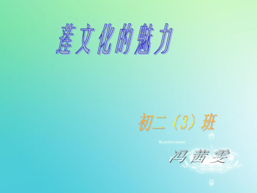 荷花