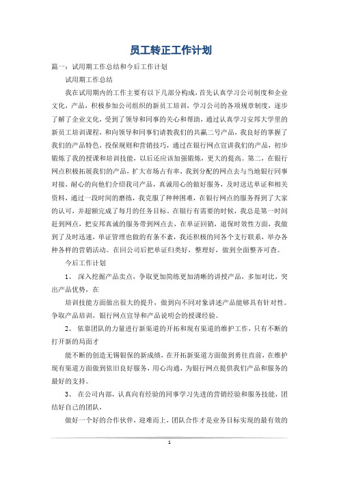 员工转正工作计划