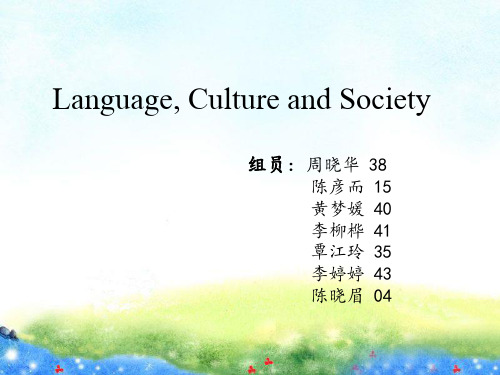 语言文化与社会英语