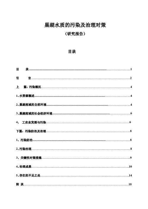 公司治理-巢湖水质的污染及治理对策 精品