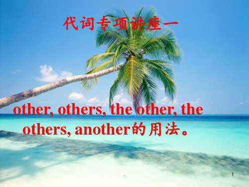 代词专题讲座一-Other--another的用法PPT课件