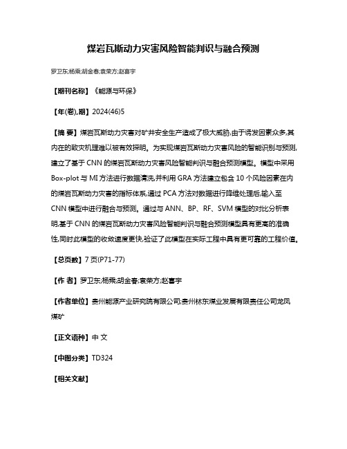 煤岩瓦斯动力灾害风险智能判识与融合预测