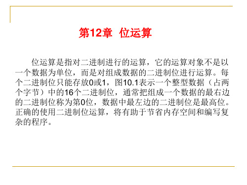 第12章 位运算