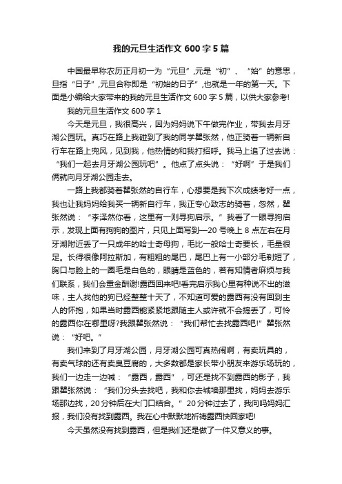 我的元旦生活作文600字5篇