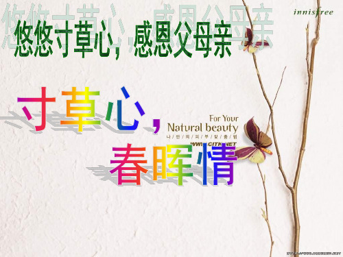 悠悠寸草心,感恩父母亲主题班会