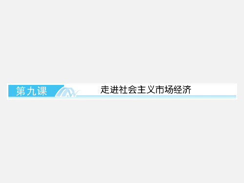 高考政治 走进社会主义市场经济课件