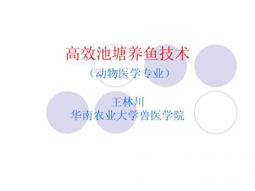 高效池塘养鱼技术