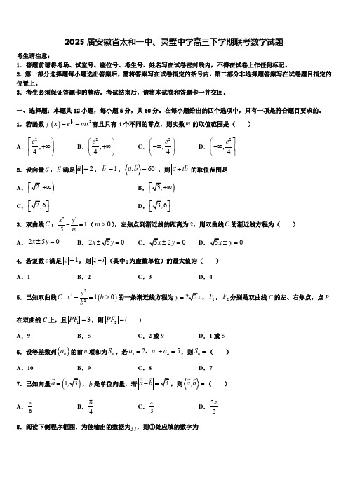 2025届安徽省太和一中、灵璧中学高三下学期联考数学试题含解析