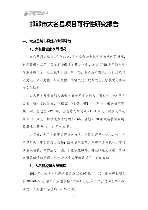 邯郸市大名县项目可行性分析
