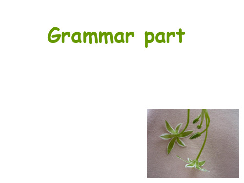 语文出版社中职英语下册lesson11语法