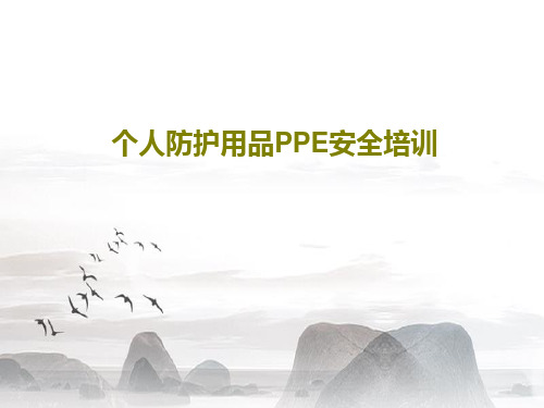 个人防护用品PPE安全培训44页PPT
