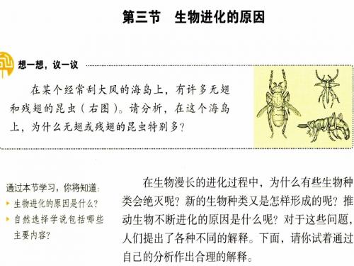 新教材-生物进化的原因-佛山谢永红