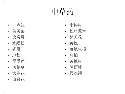 中草药的认识(PPT99页)