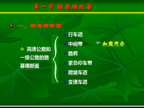 第四章第一节标准横断面与典型横断面
