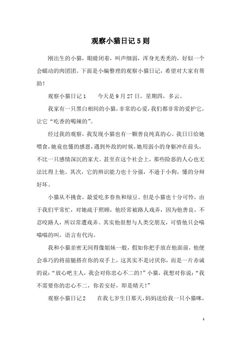 观察小猫日记5则