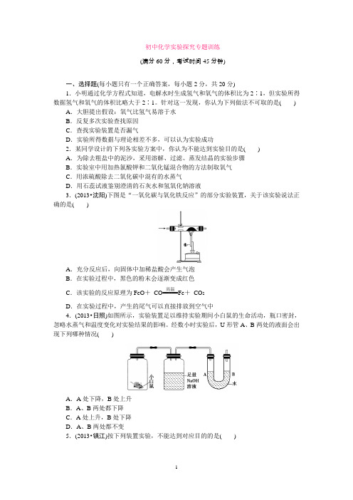 初中化学实验探究专题训练(含答案)