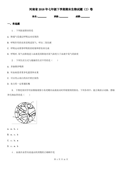 河南省2019年七年级下学期期末生物试题(I)卷