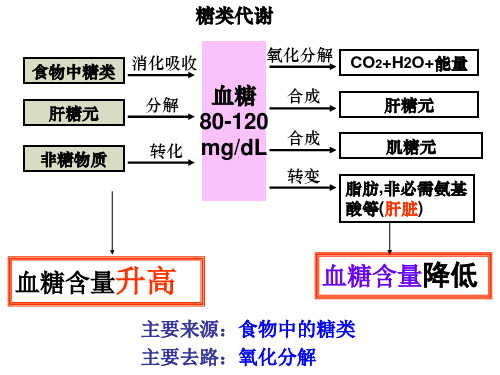 高二生物血糖平衡和调节(PPT)5-1