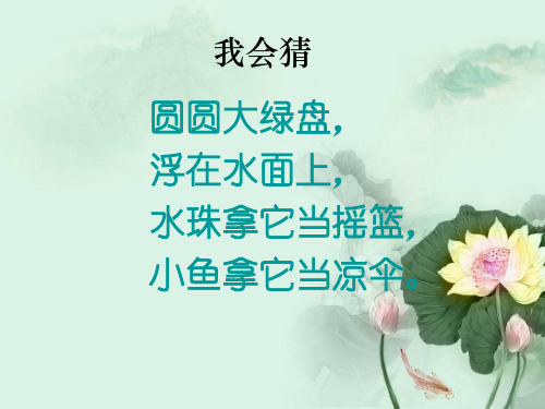 部编版一年级下册《荷叶圆圆》课件