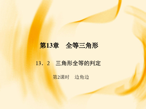 (华师大版)八年级数学上册课件：13.2.2  边角边