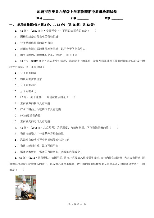 池州市东至县九年级上学期物理期中质量检测试卷