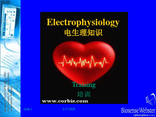 D1-心脏生理解剖结构和传导路径资料讲解