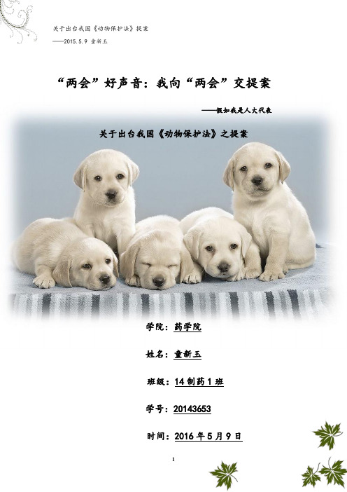 关于我国《动物保护法》之提案