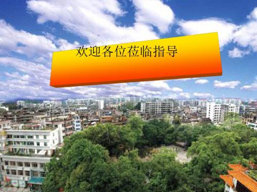 化学课件《化学实验复习》优秀ppt2 人教课标版