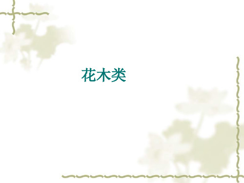 花木类