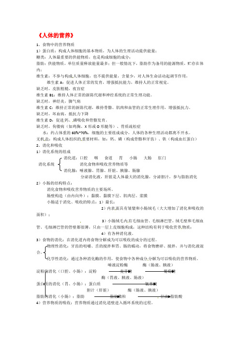 七年级生物下册《人体的营养及思维导图》新人教版