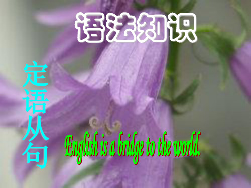 2013高考英语定语从句考点要点