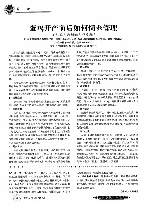 蛋鸡开产前后如何饲养管理