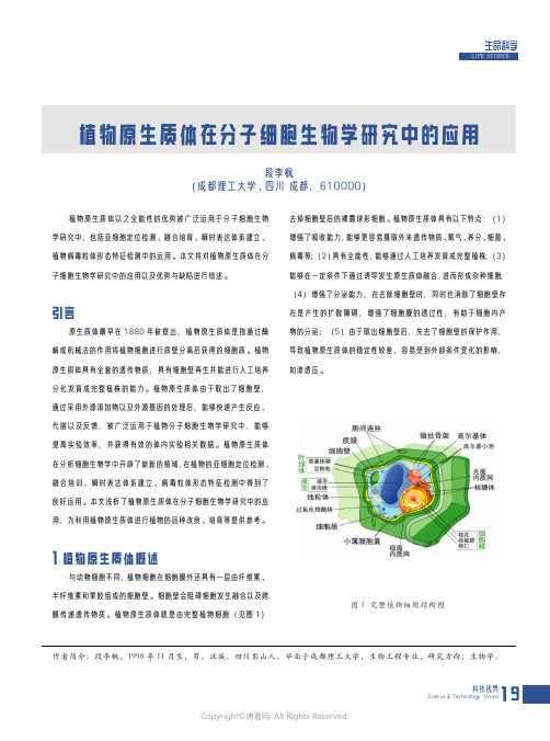 210981006_植物原生质体在分子细胞生物学研究中的应用