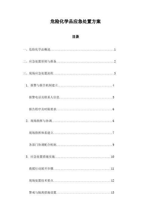 危险化学品应急处置方案