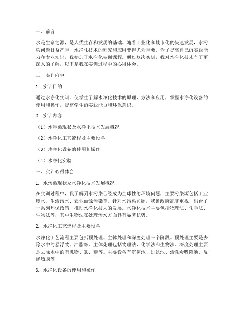 水净化实训报告心得体会