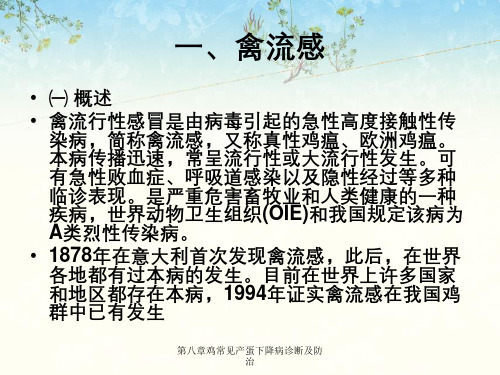 第八章鸡常见产蛋下降病诊断及防治