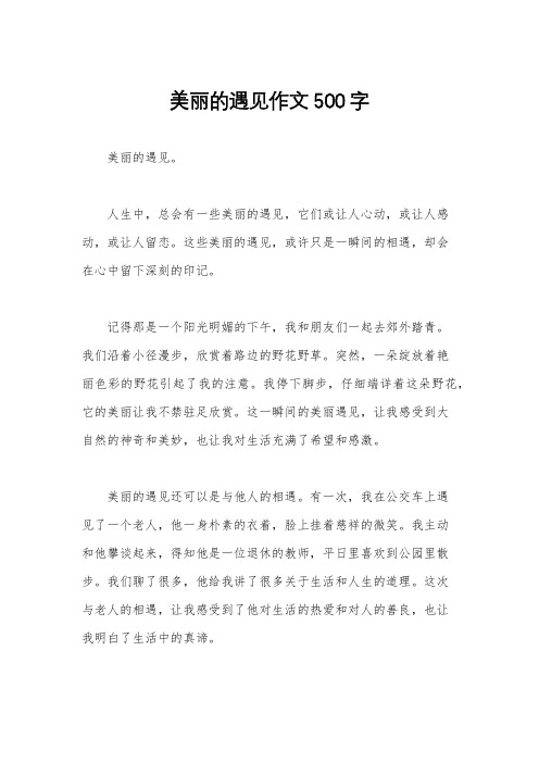 美丽的遇见作文500字