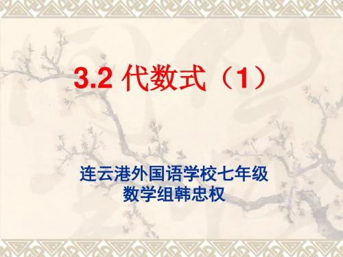 苏科版七上3.2代数式(1)课件